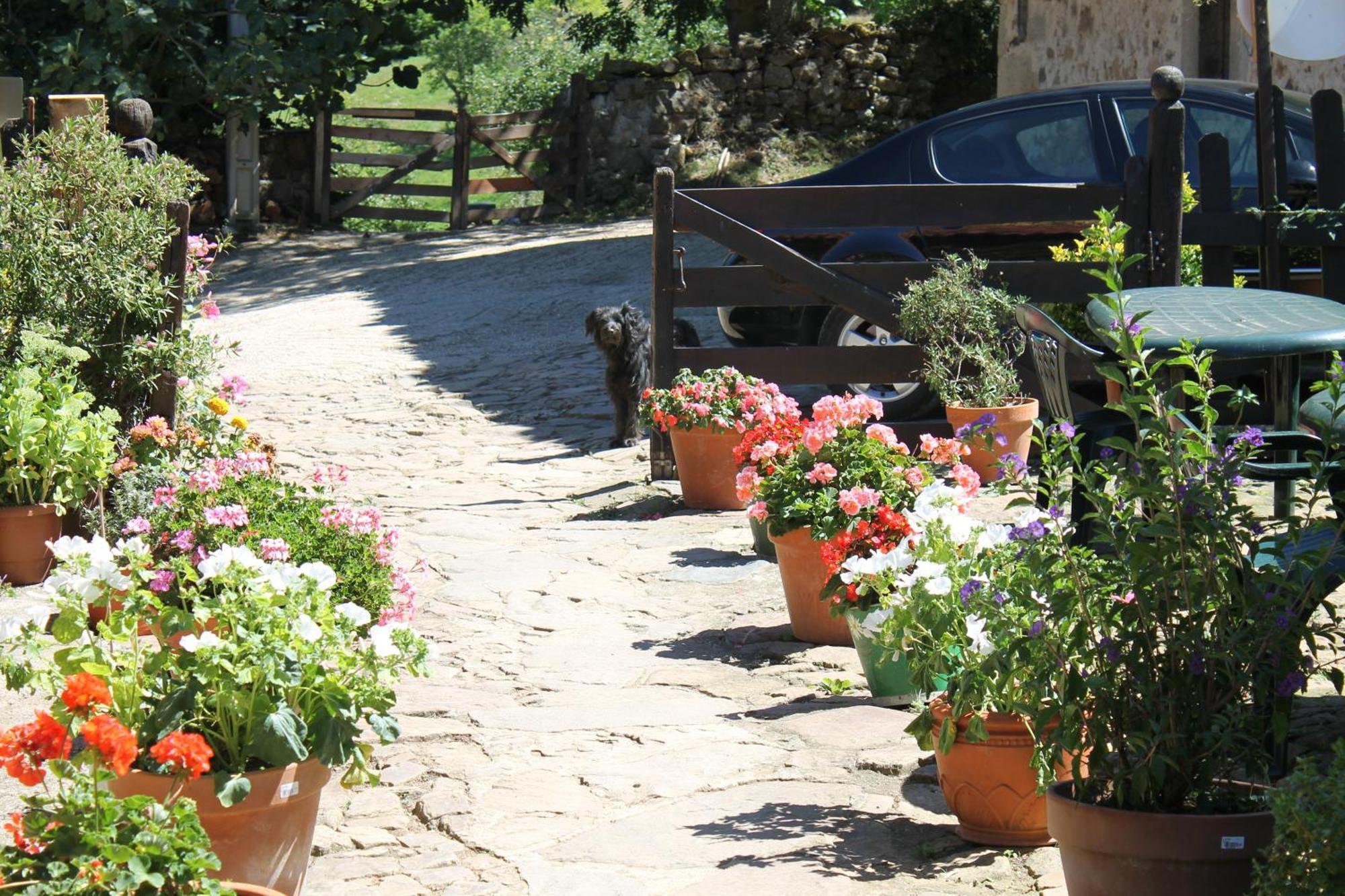 Casona De Trevino Guest House Косгая Екстериор снимка