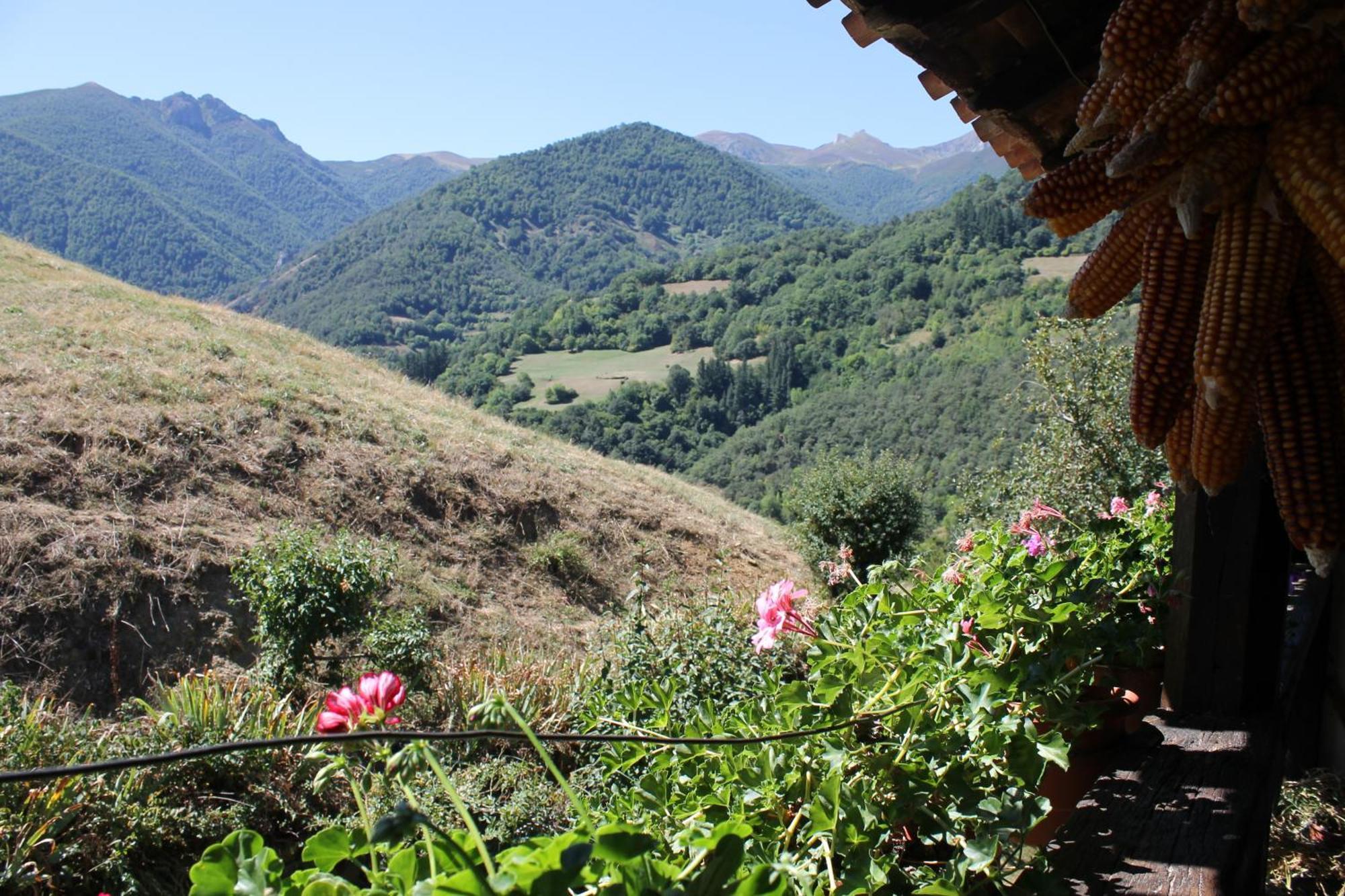 Casona De Trevino Guest House Косгая Екстериор снимка